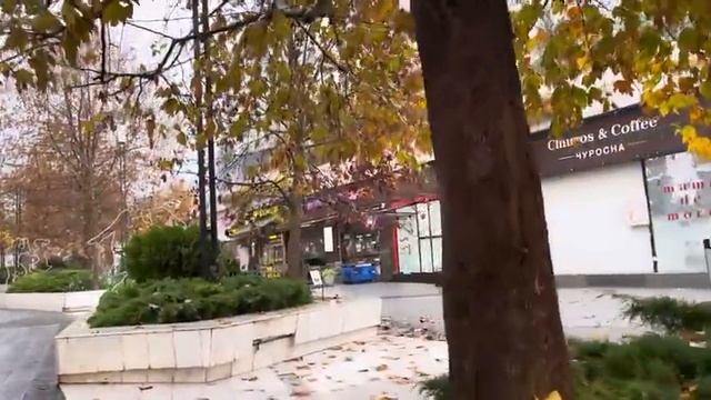 ОДЕССА 26 НОЯБРЯ 2025. ЗЕЛЕНСКОГО НЕ ЗВАЛИ В БЕЛЫЙ ДОМ! СКОРО НОВЫЕ ПЛЕНКИ ОТ НАБУ! ОРБАН В МОСКВЕ.