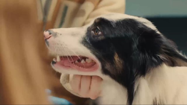 Разговоры о важном 1 декабря 2025