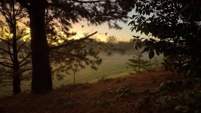 Вечерняя тишина с Божьим Словом. Библия. Исцеление_души.
