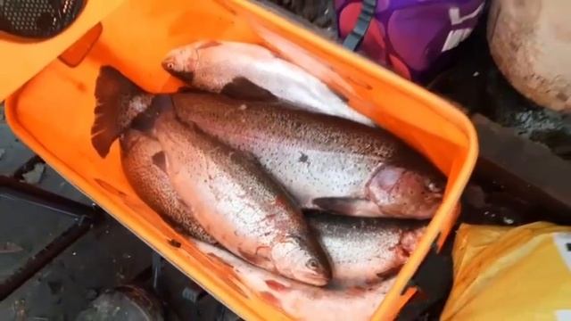 27.11.25 г. РК Волна.