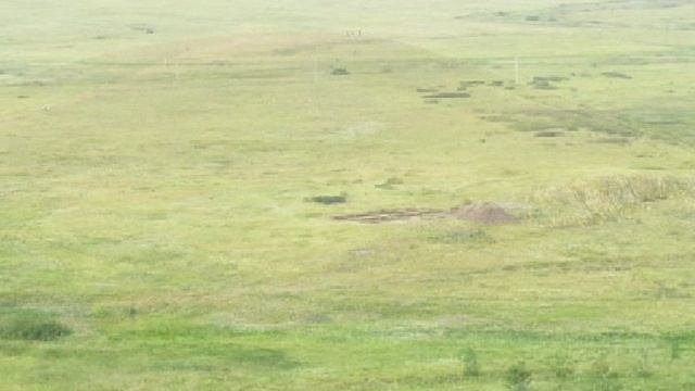 2005 08 Эмоции и интуиция в бизнесе