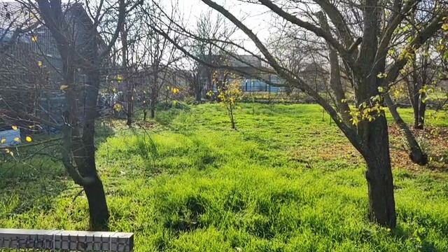 РЕШИЛА ПРОВЕРИТЬ ВЕЗУЧИЙ ЛИ Я ЧЕЛОВЕК🫣 СМОТРИТЕ ЧТО Я ВЫИГРАЛА 😱