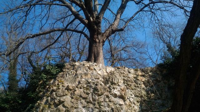 Севастополь Максимова дача