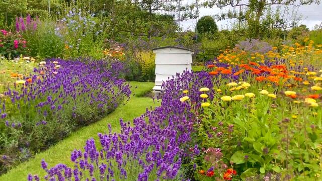 САДЫ БРИТАНИИ ЗНАМЕНИТЫЕ САДЫ ХОУТОН-ХОЛЛА: ВНУТРИ ЕГО ПОТРЯСАЮЩИХ ФОРМАЛЬНЫХ САДОВ 2025