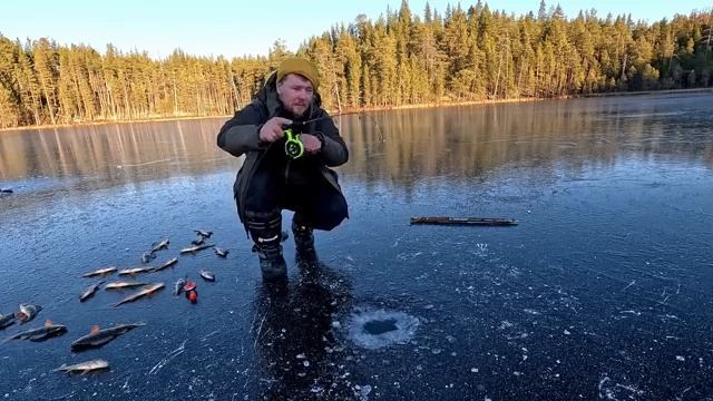 ПЕРВЫЙ ЛЁД 2025-2026. РЫБАЛКА ПО ПЕРВОМУ ЛЬДУ. БЕШЕННЫЙ КЛЁВ КРУПНОЙ РЫБЫ. УСПЕЛ НА ПЕРВОЛЕДЬЕ