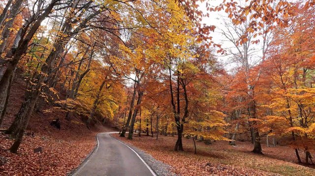 Закрытая дорога в Крыму. Что скрывают горы выше облаков? Осенняя сказка. Дорога ИМПЕРАТОРА.