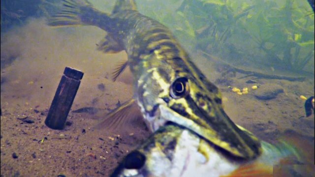 Лучшая ловля рыбы с подводной камерой. Зимнее озеро. Зимняя рыбалка и охота. Лучшая рыбалка