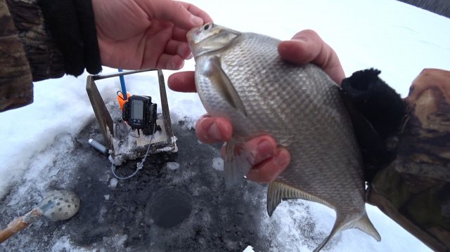 Безмотылка рыбалка на чёртик глухозимье