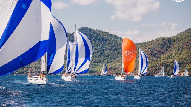 Регата Orange Cup 2025 (4k)