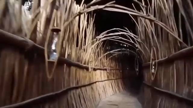 Сексуальные красотки в купальниках (Эротика) 18+