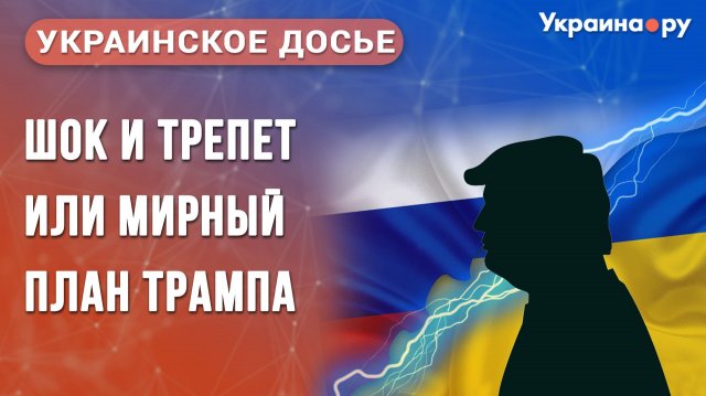 Шок и трепет, или Мирный план Трампа. Конференция из цикла «Украинское досье»