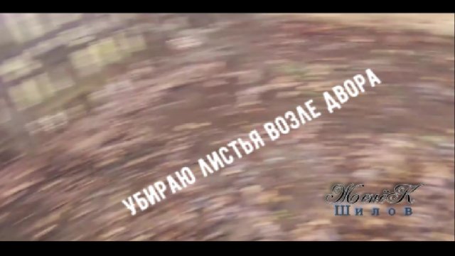 Убираю листья возле двора