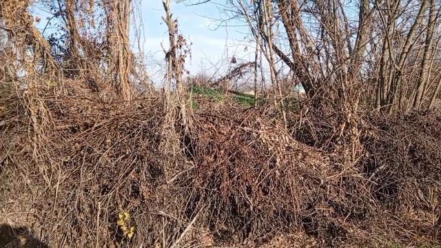 Надо создавать подушку безопасности и радости