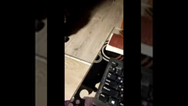 Распаковка Геймерского Бокса No 5 [14.01.2025 г.] #shorts