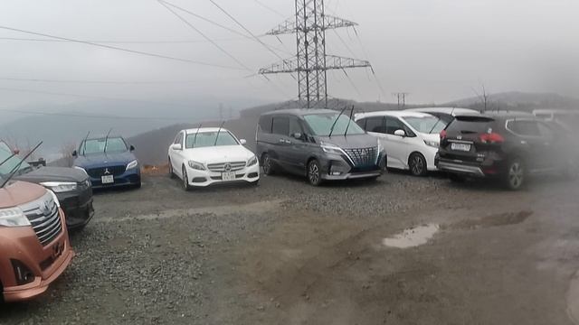 Зеленый угол-что есть на авторынке?Что с ценами?