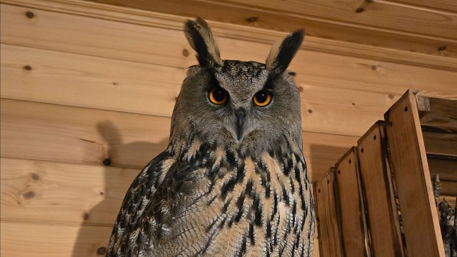 Запись стрима с ютуба от 27.11.25. Часть 2.