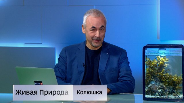 Живая природа. "Колюшка"