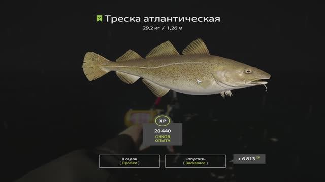 Русская Рыбалка 4. Норвежское море. 55-ая банка