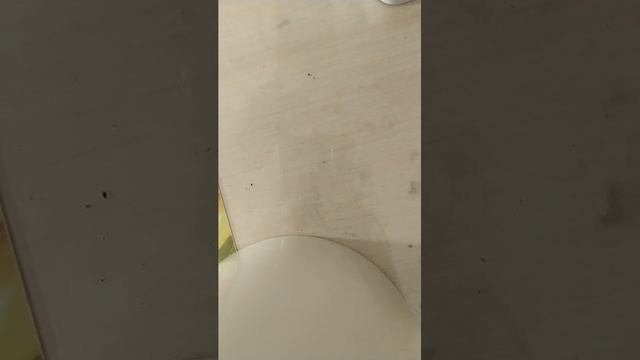 всё обо всём