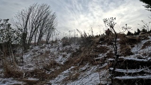 первый снег