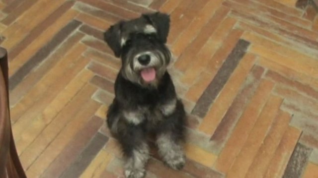 Андрей В. Евсеев. Песенка про Джонни (2025)