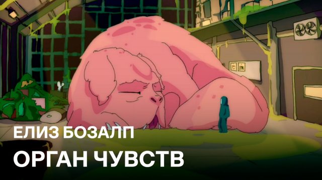 Орган чувств