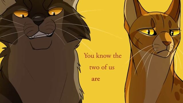 ПЯТНИСТАЯ ЗВЕЗДА \ меме\