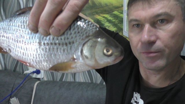 ЖАРЕННАЯ РЕЧНАЯ РЫБА НА ВОДЕ ЭТО КАК!? ПОЖАРИЛ РЫБУ НА ВОДЕ БЕЗ БРЫЗГ И ШИПЕНИЯ!