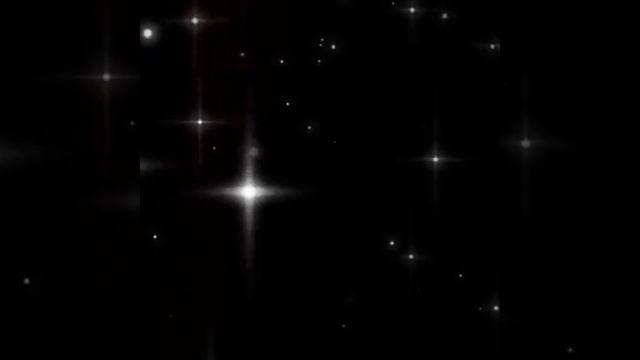 Басики 🌿🍄🌼