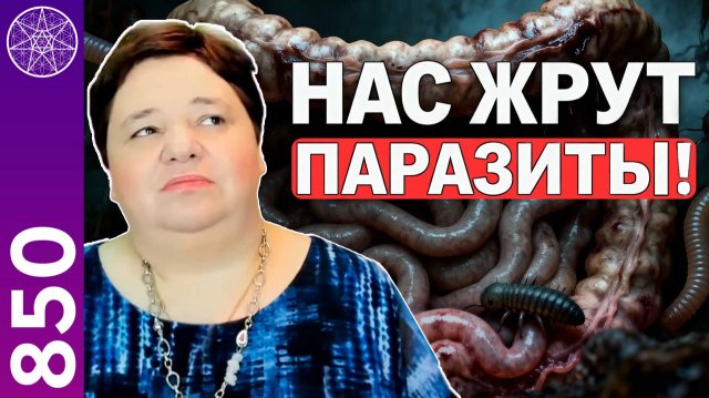 #850 НАС ЖРУТ ПАРАЗИТЫ?! Прямой эфир с Ириной Подзоровой