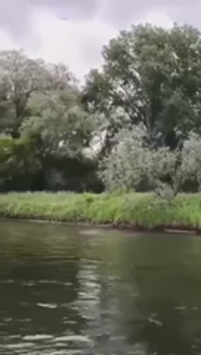 Просто видео путешествия по реке