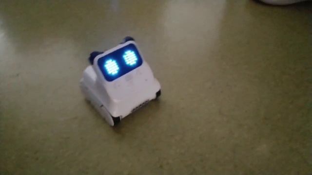 Следуем за светом