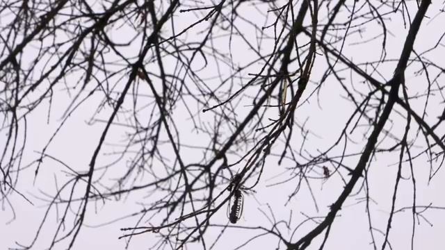 БУДЕТ ЛИ КЛЁВ, КОГДА ТВОРИТСЯ ТАКОЕ_ ЛОВЛЯ НА ФИДЕР В ГЕОМАГНИТНЫЙ ШТОРМ!