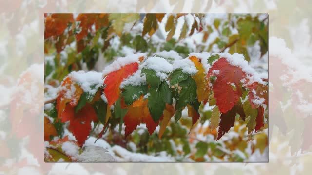 первый снег