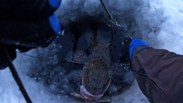 СМЕНА ПОГОДЫ | КРУПНЯК ПОПЕР | ПЕРЕМЕТ 30.11.2025