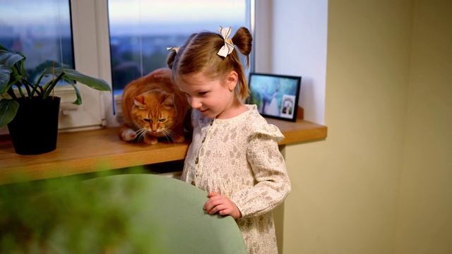 Разговоры о важном. Домашние питомцы. Видеоролик «Пять дел для друга»