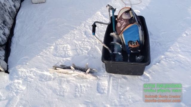 Рыбалка в -25 30.11.2025 г.