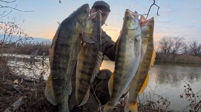СУМАСШЕДШИЙ КЛЁВ КРУПНОГО СУДАКА! НАРВАЛСЯ НА ЖОР РЫБЫ ПЕРЕД ЗИМОВКОЙ. АСТРАХАНЬ.