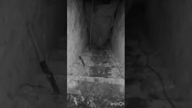 Дороги Войны