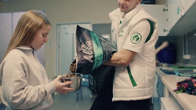 Разговоры о важном. Домашние питомцы. Фильм Движения Первых «Волонтеры»