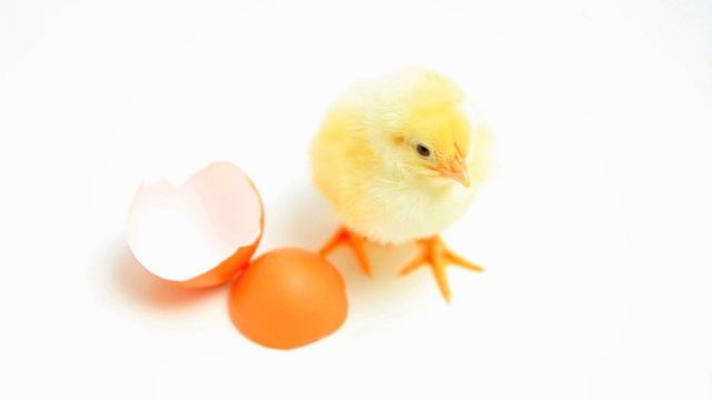 Дизайн без названия (29)