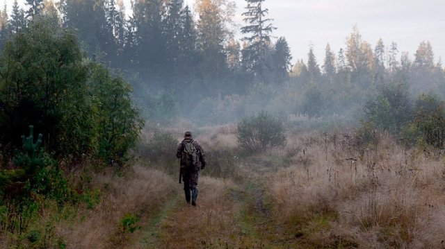Мистика. рассказы лесника. . Истории лесничего.