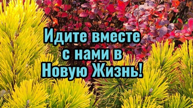 Идите в Новую жизнь вместе с нами! #исцеление