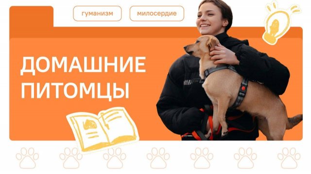 Разговоры о важном 01.12.25. Тема «Домашние питомцы»