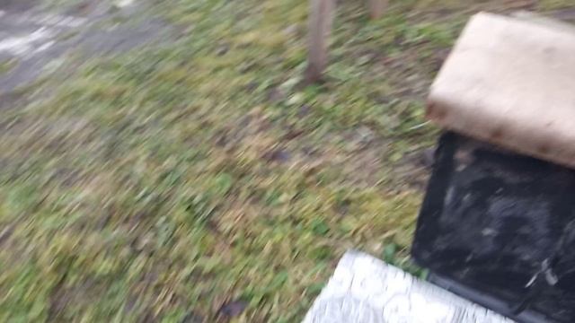 Первый день зимы , а где же пчёлки ???