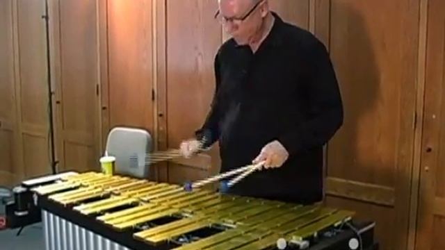 Vic Firth M25 GARY BURTON MALL