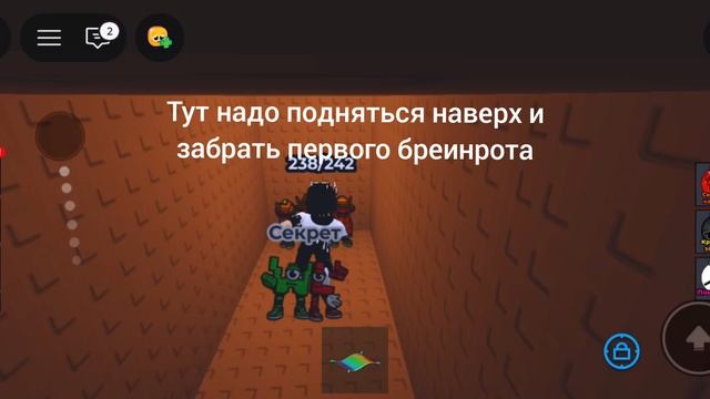 как найти 2 бреинротов под картой