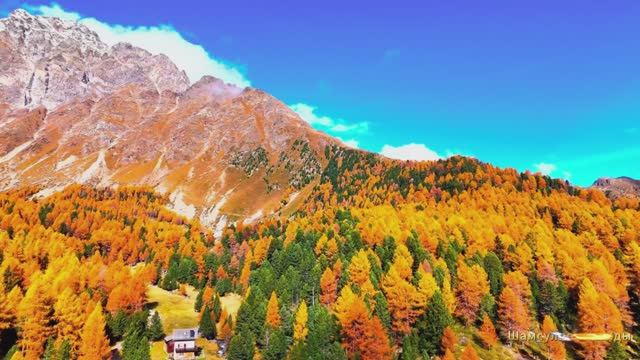 #Коран#АнНисаъ#СамыеКрасивыеМеста#Relaxation##Islam#Quran#AnNisa'#Minshawiy #4кВидео#17часть#