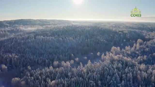 Стихи над миром. Стихотворения Зинаиды Миркиной