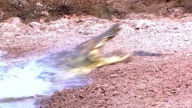 f63f70f7793daa9c5bb74085d8df87dd